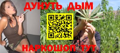 МДПВ Краснознаменск