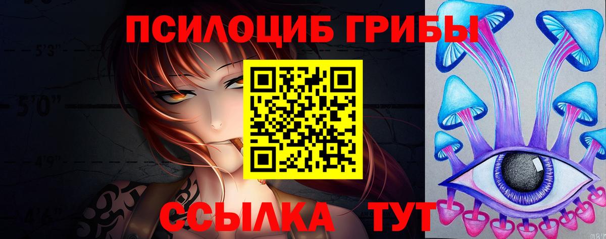 Псилоцибиновые грибы Psilocybine cubensis Дербент