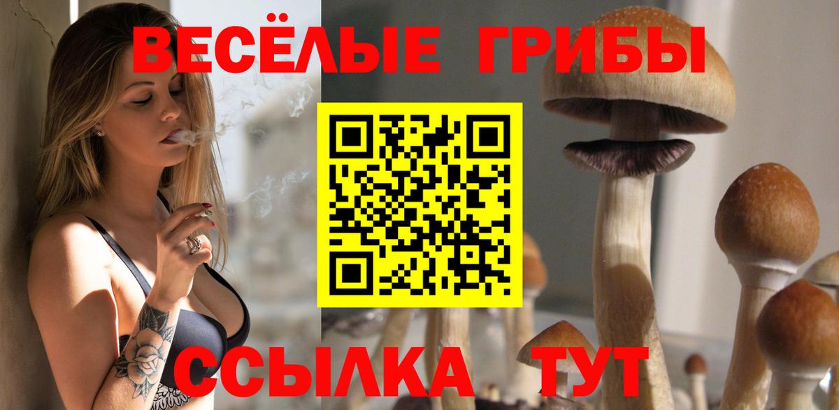 Галлюциногенные грибы MAGIC MUSHROOMS  где продают наркотики  Дербент  Вход с VPN 